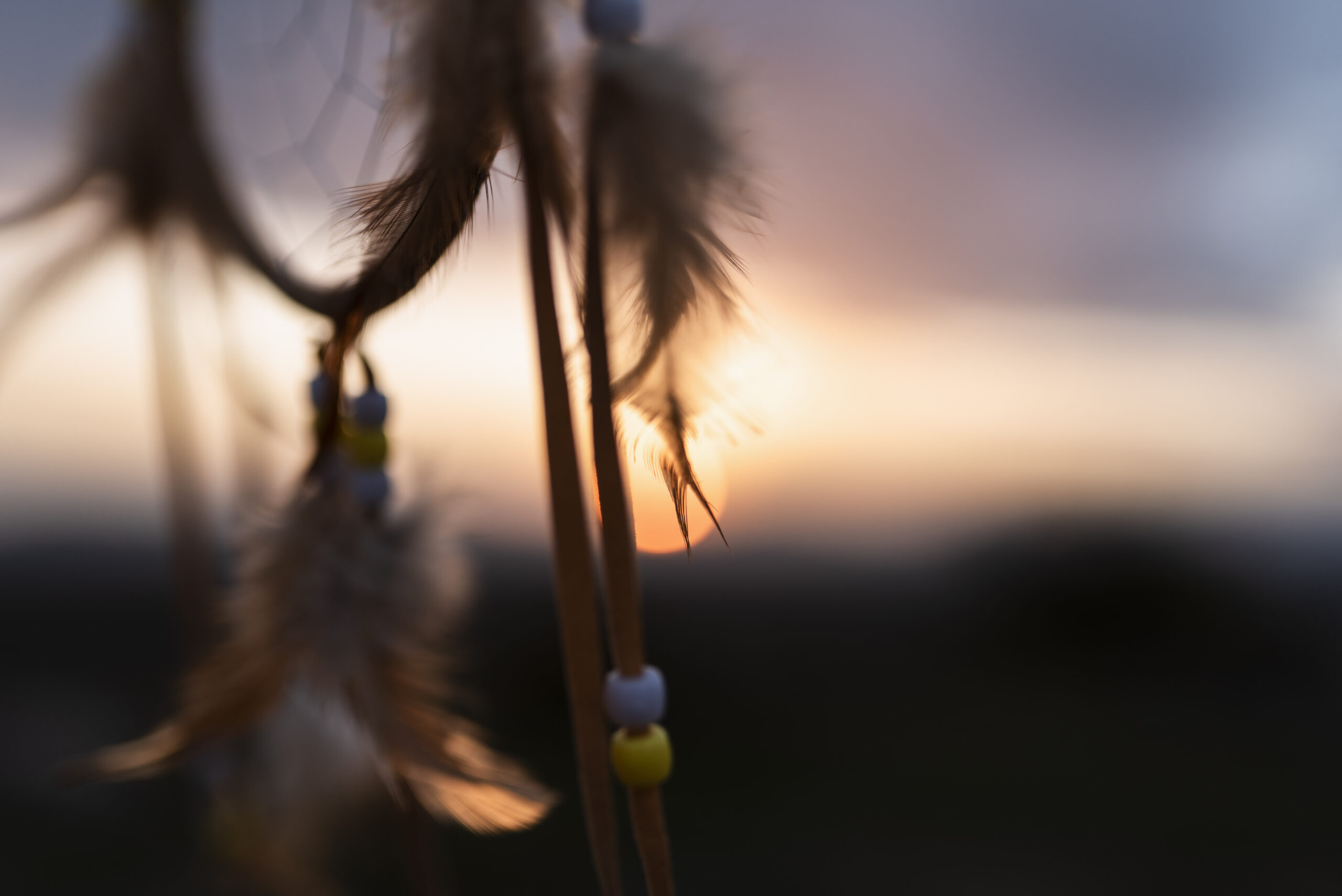 mateo gobo photography